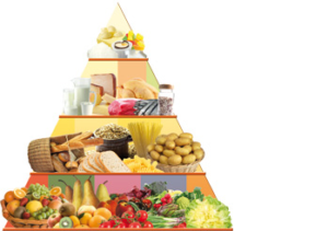 piramide alimentar